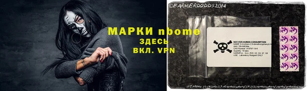 соль ск Кукмор