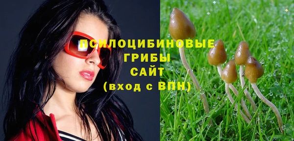 хмурый Кулебаки