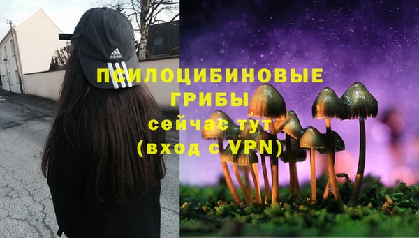 хмурый Кулебаки