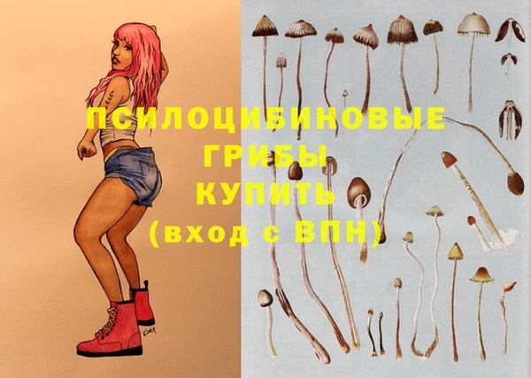 трава Куйбышев