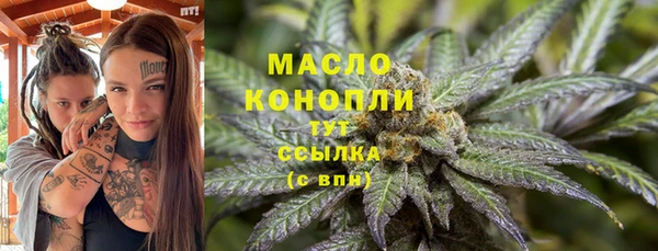 соль ск Кукмор