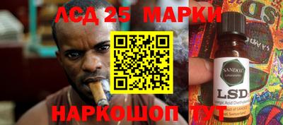 ПСИЛОЦИБИНОВЫЕ ГРИБЫ Кандалакша