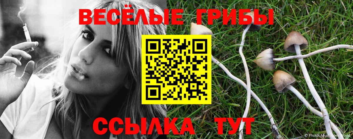 Псилоцибиновые грибы MAGIC MUSHROOMS Красноуфимск