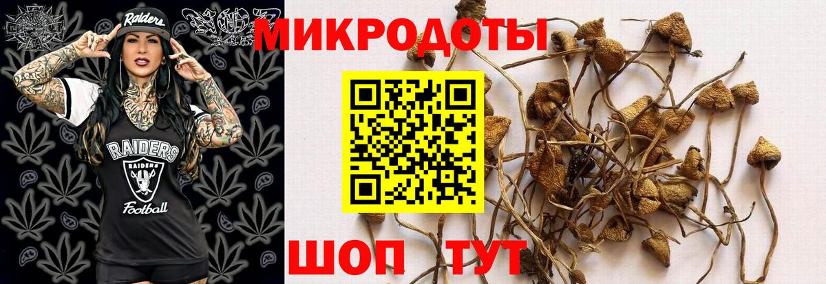 Галлюциногенные грибы MAGIC MUSHROOMS  Вход с VPN  Красноуфимск 